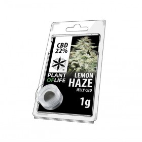 Résine CBD Lemon Haze | PLANT OF LIFE