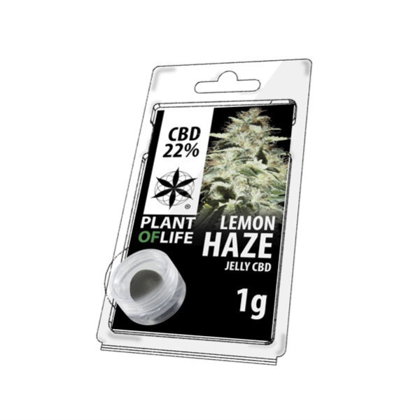 Résine CBD Lemon Haze | PLANT OF LIFE