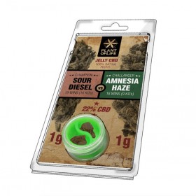 Résine CBD Amnesia Haze VS Sour Diesel 2x1g | PLANT OF LIFE