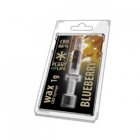 Wax CBD Blueberry | PLANT...