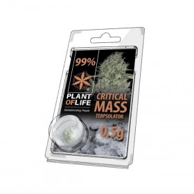 Cristaux CBD 99% Critical Mass terpsolator | PLANT OF LIFE