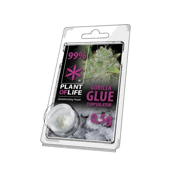 Cristaux CBD 99% Gorilla Glue terpsolator | PLANT OF LIFE