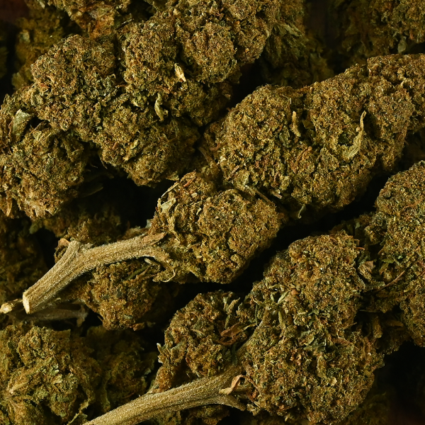 Fleur de CBD - BLUEBERRY