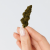 Fleur de CBD - BLUEBERRY