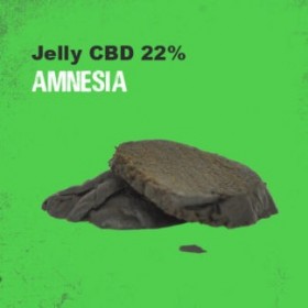 Pack découverte 100g résines CBD 22% | PLANT OF LIFE (MANGO)