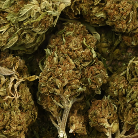 Fleur de CBD - GORILLA GLUE