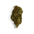 Fleur de CBD - GORILLA GLUE