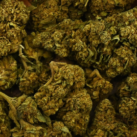 Fleur de CBD - MANGO KUSH