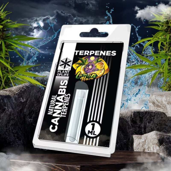 Terpène Lemon Haze | PLANT OF LIFE