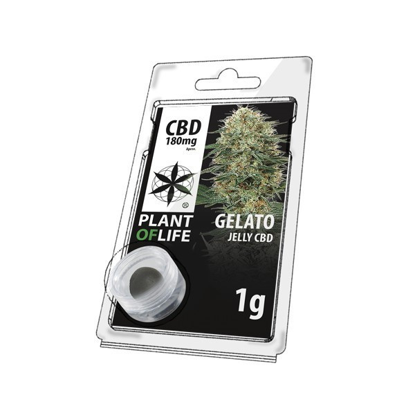 Résine CBD Gelato | PLANT OF LIFE