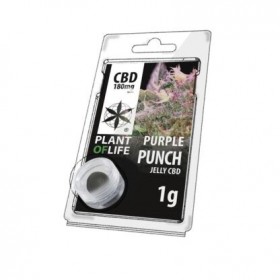 Résine CBD Purple Punch | PLANT OF LIFE