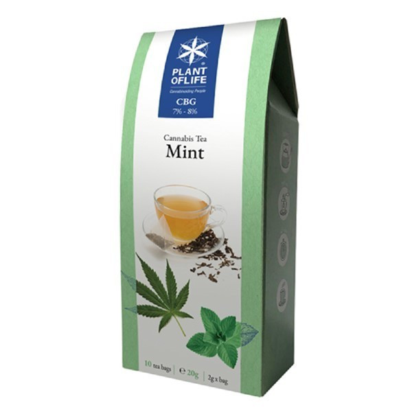 Tisane CBG menthe | PLANT OF LIFE