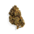 Fleur de CBD - OG KUSH