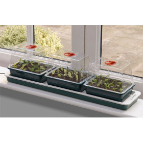 Propagateur de rebord de fenêtre électrique Trio Top