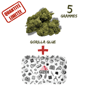 Pack Fleur CBD Gorilla Glue Greenhouse 8% + Plateau à Rouler GIZEH Comic Blanc 275x175mm