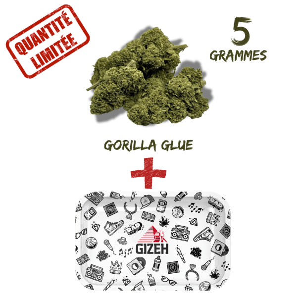 Pack Fleur CBD Gorilla Glue Greenhouse 8% + Plateau à Rouler GIZEH Comic Blanc 275x175mm