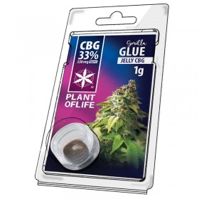 Résine CBG Gorilla Glue | PLANT OF LIFE