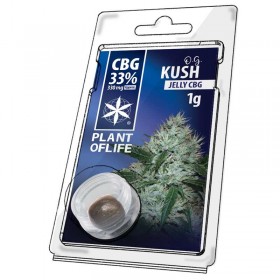 Résine CBG OG Kush | PLANT OF LIFE