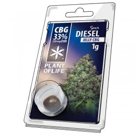 Résine CBG Sour Diesel | PLANT OF LIFE