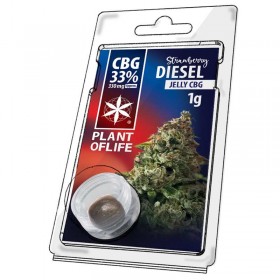 Résine CBG Strawberry Diesel | PLANT OF LIFE