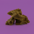 Pack découverte 100g résines CBG 27% | PLANT OF LIFE (NATURAL)