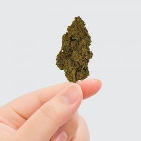 Fleur de CBD Tonic Kush