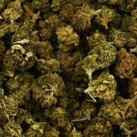 Fleur CBD Mixte Small & Big Bud