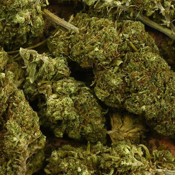 Fleur de CBD - WATERMELON