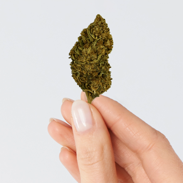 Fleur de CBD - BERRY