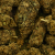Fleur de CBD - BERRY