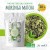 Thé au CBD bio moringa matcha | POP CBD