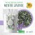 Thé au CBD bio menthe lavande | POP CBD