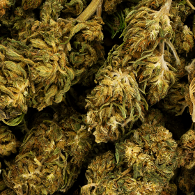 Fleur de CBD - NATURAL WEED ALSACE
