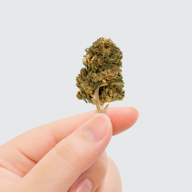 Fleur de CBD - NATURAL WEED ALSACE