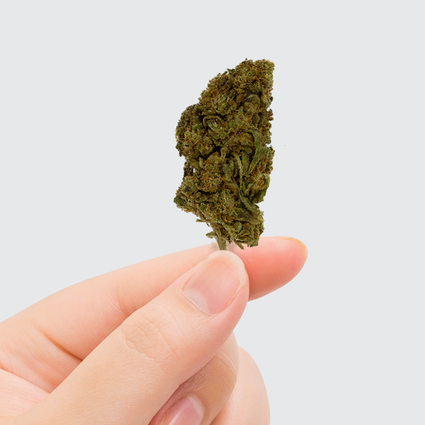 Fleur de CBD - STRAWBERRY HAZE