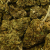 Fleur de CBD - STRAWBERRY HAZE