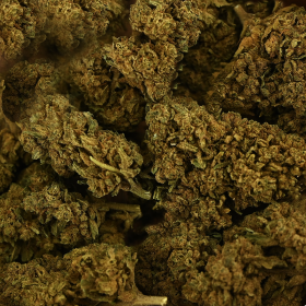 Fleur de CBD Tonic Kush