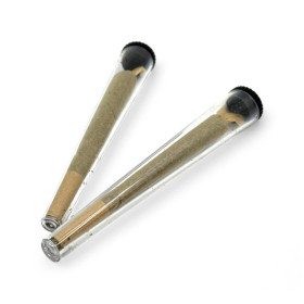 Étui cône - lot de 50