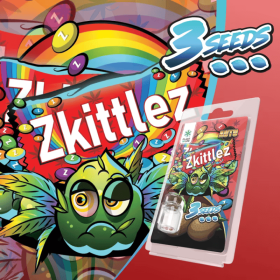 3 Graines Zkittlez AUTO | Plant of Life