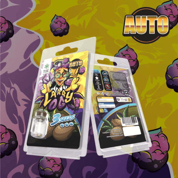 3 Graines Larry OG AUTO Plant of Life