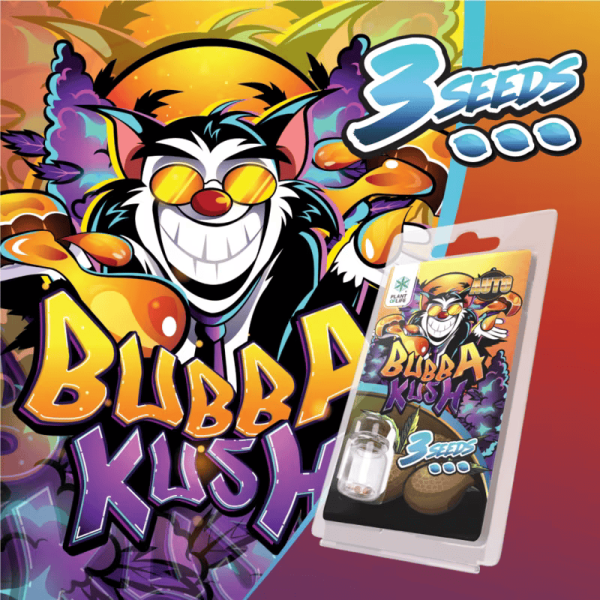 3 Graines Bubba Kush Auto | Plant Of Life