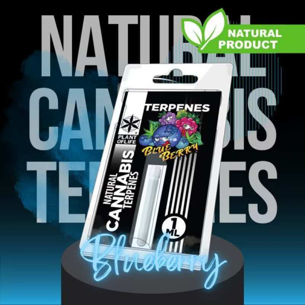 Terpène Blueberry Diesel | PLANT OF LIFE