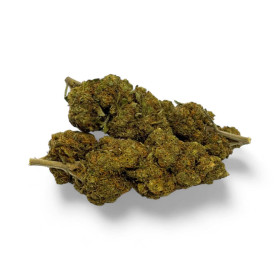 Fleur CBD Critical+ Greenhouse 8%