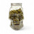 Fleurs CBD Small Bud Skull 25GR - Édition Limitée Halloween