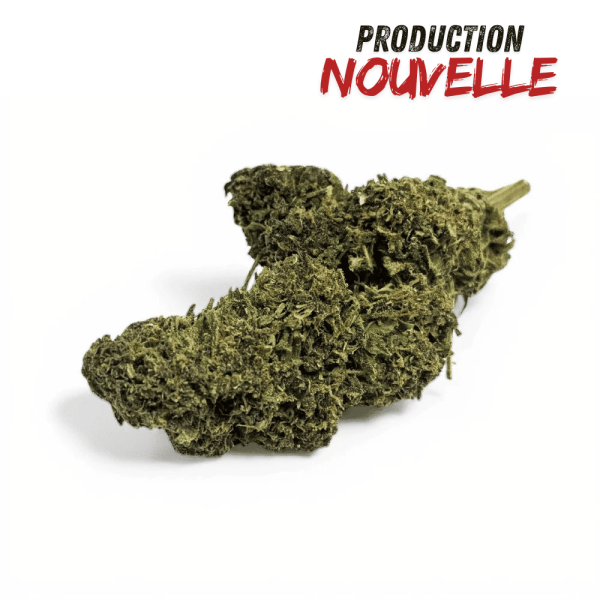 Fleur CBD Saphire Hybride Indoor