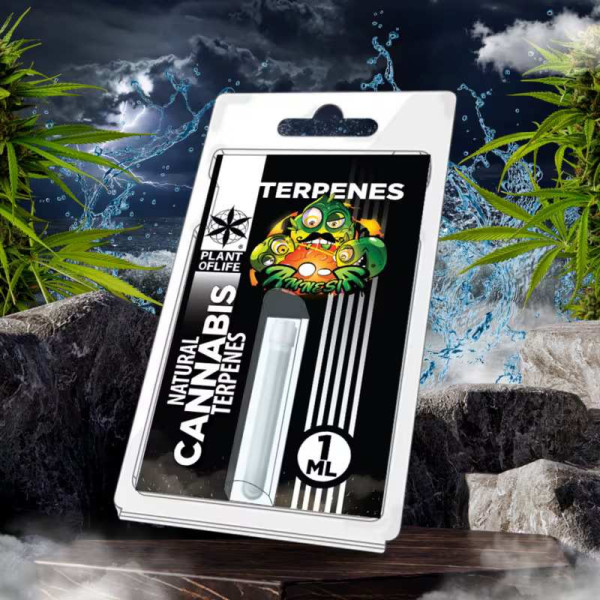 Terpène Amnesia| PLANT OF LIFE