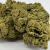 Fleur de CBD Candy Kush Greenhouse