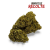Fleur de CBD Sour Lime Haze Greenhouse
