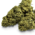 Fleur de CBD Super Silver Haze Indoor
