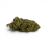 Fleur de CBD Super Silver Haze Indoor